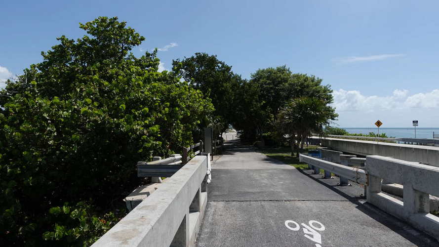 MIA_2023-08-11 11-27-13_RX_05842